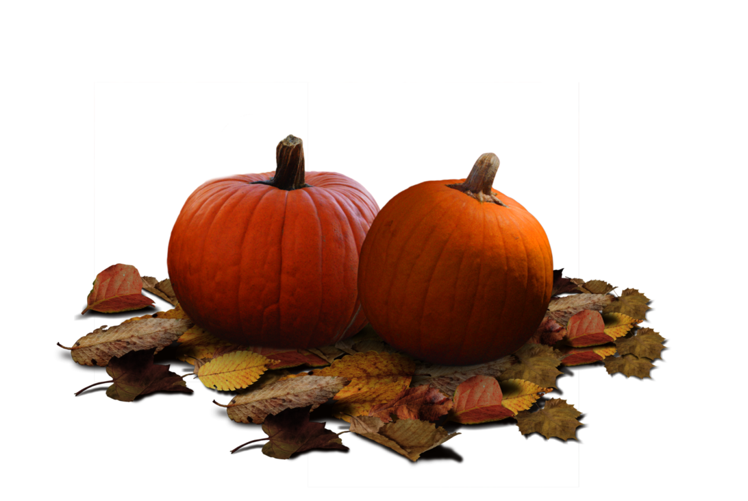 Halloween clipart pumpkin patch. Stock png by karahrobinson