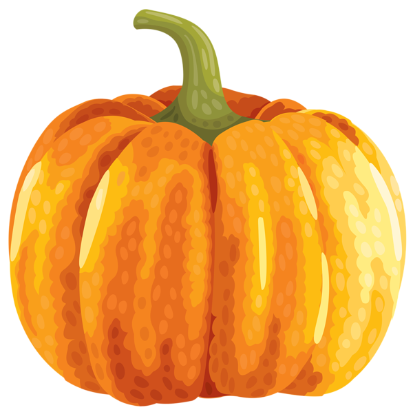 pumpkin clipart squash