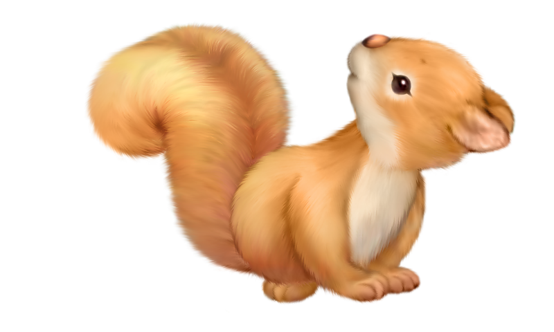 Cute free gallery yopriceville. Clipart home squirrel
