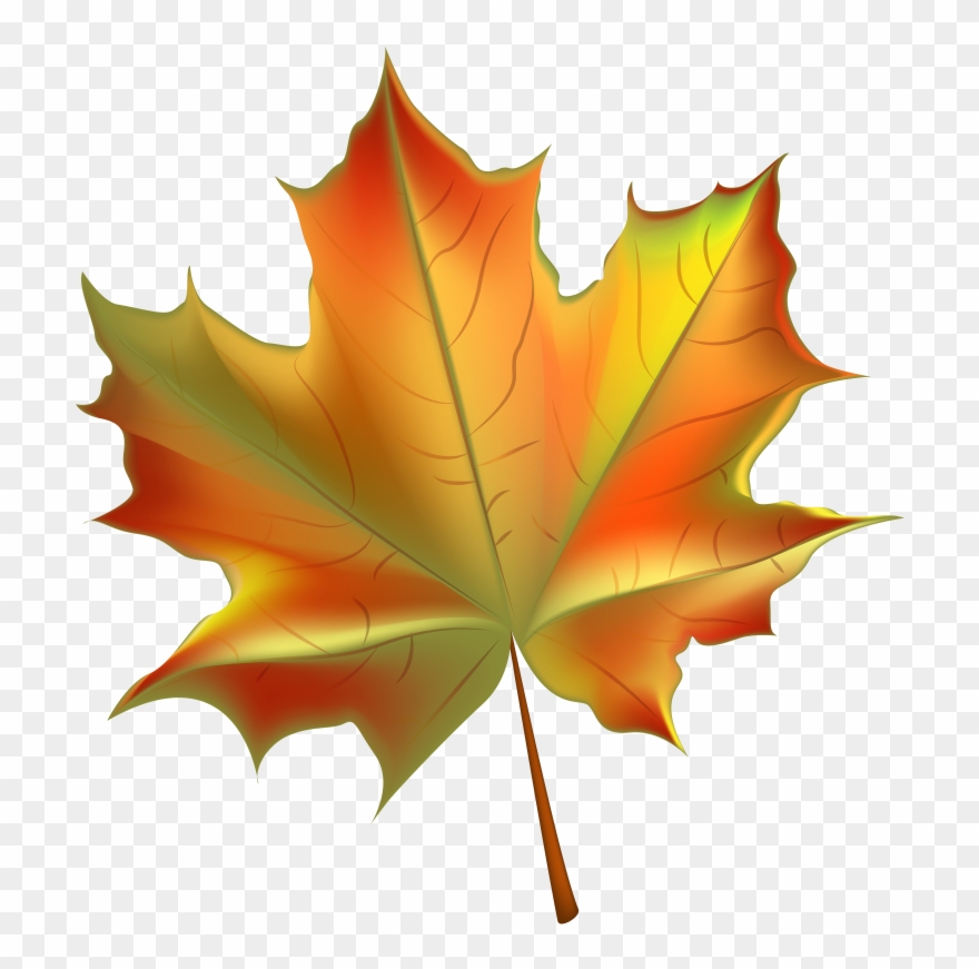 Leaves clipart transparent background. Pin autumn fall leaf