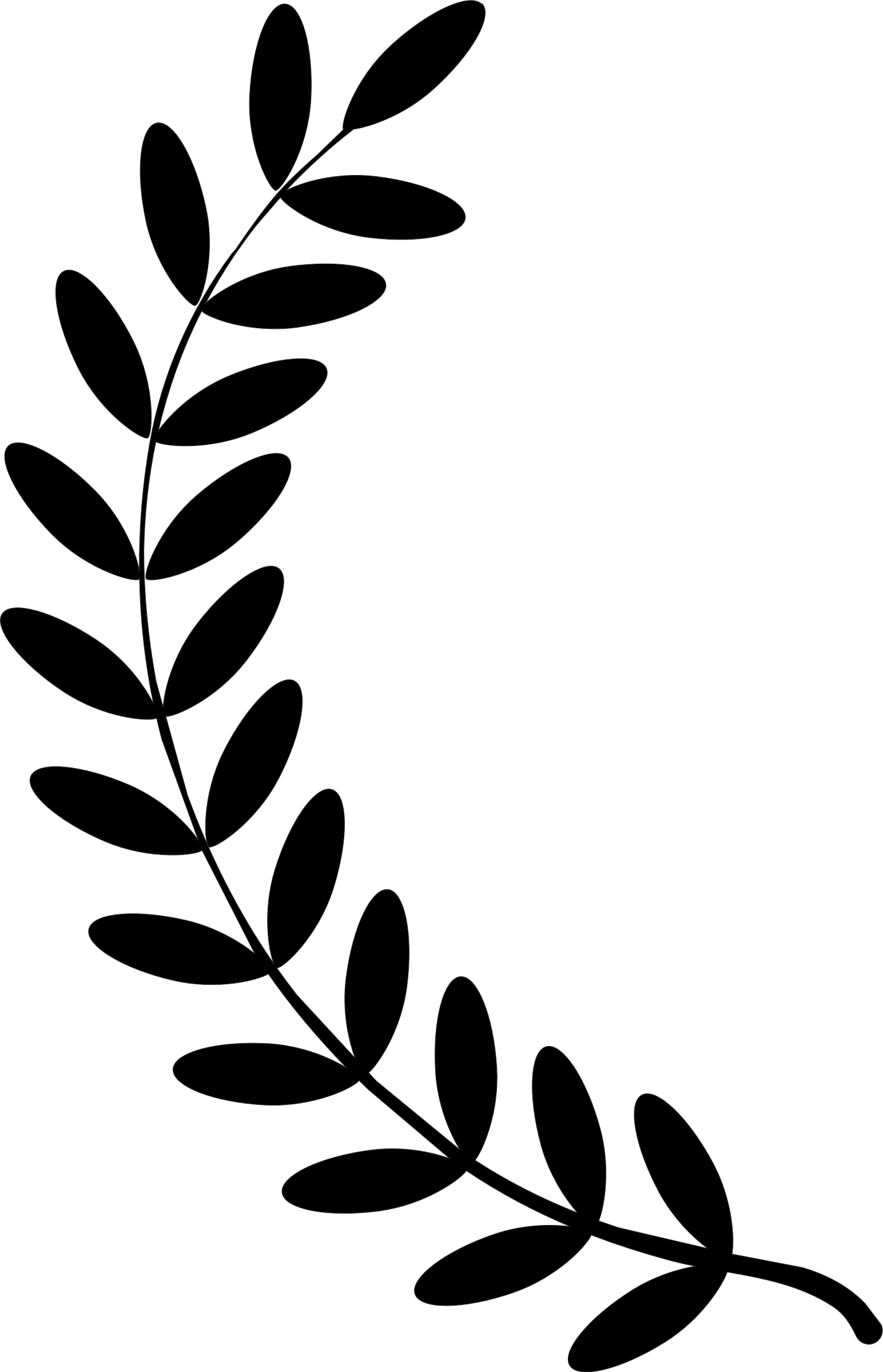 Clipart leaf garland.  collection of vine