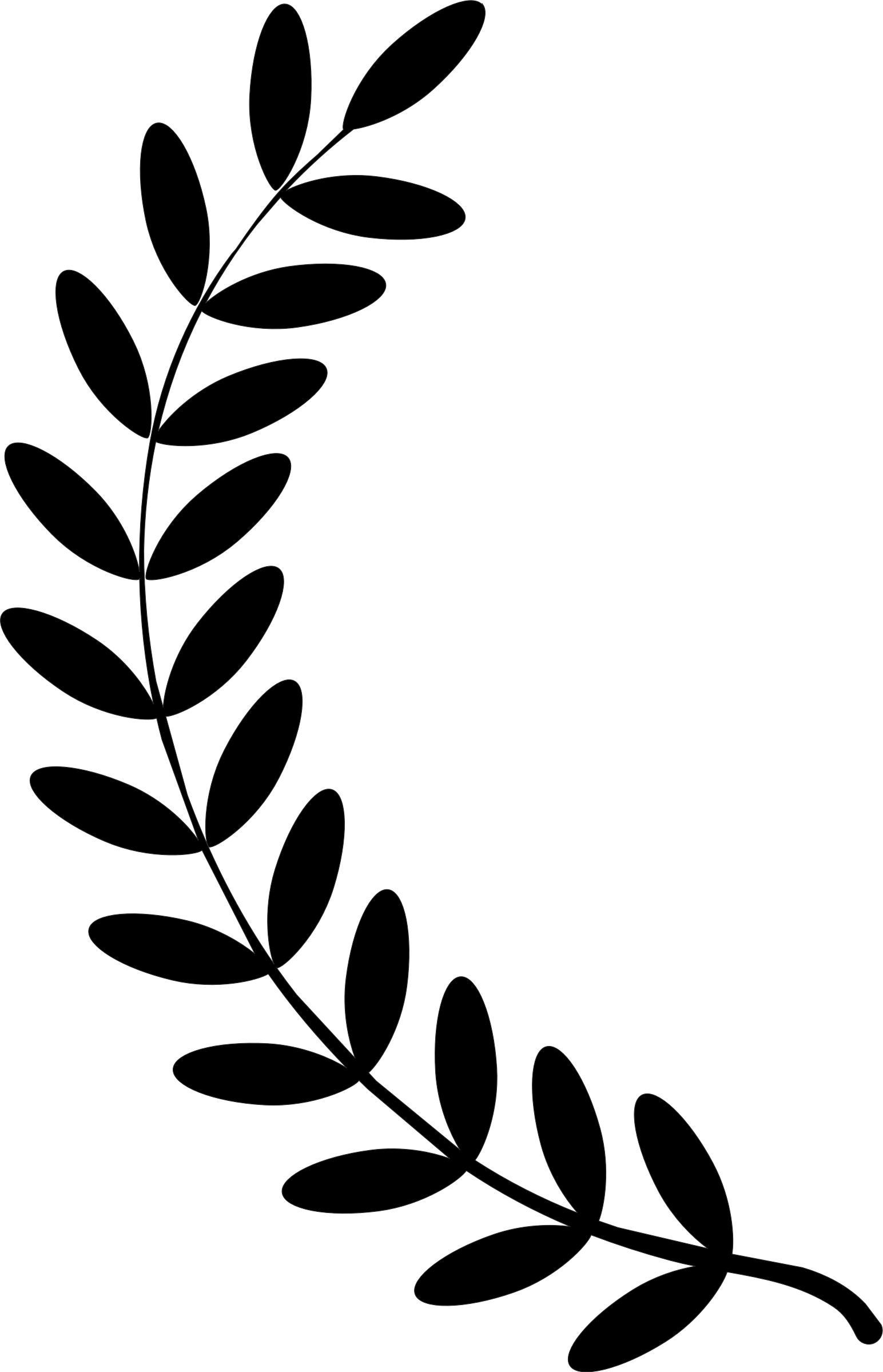 vines clipart leaf vine