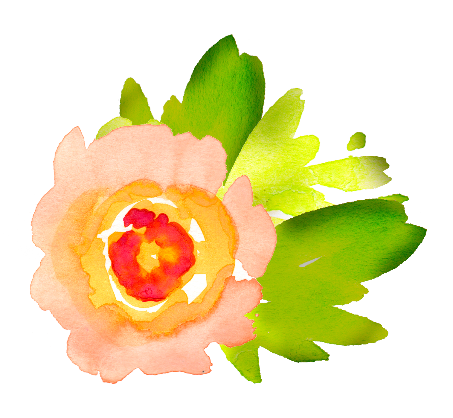 Lime clipart watercolour. Free watercolor floral elements