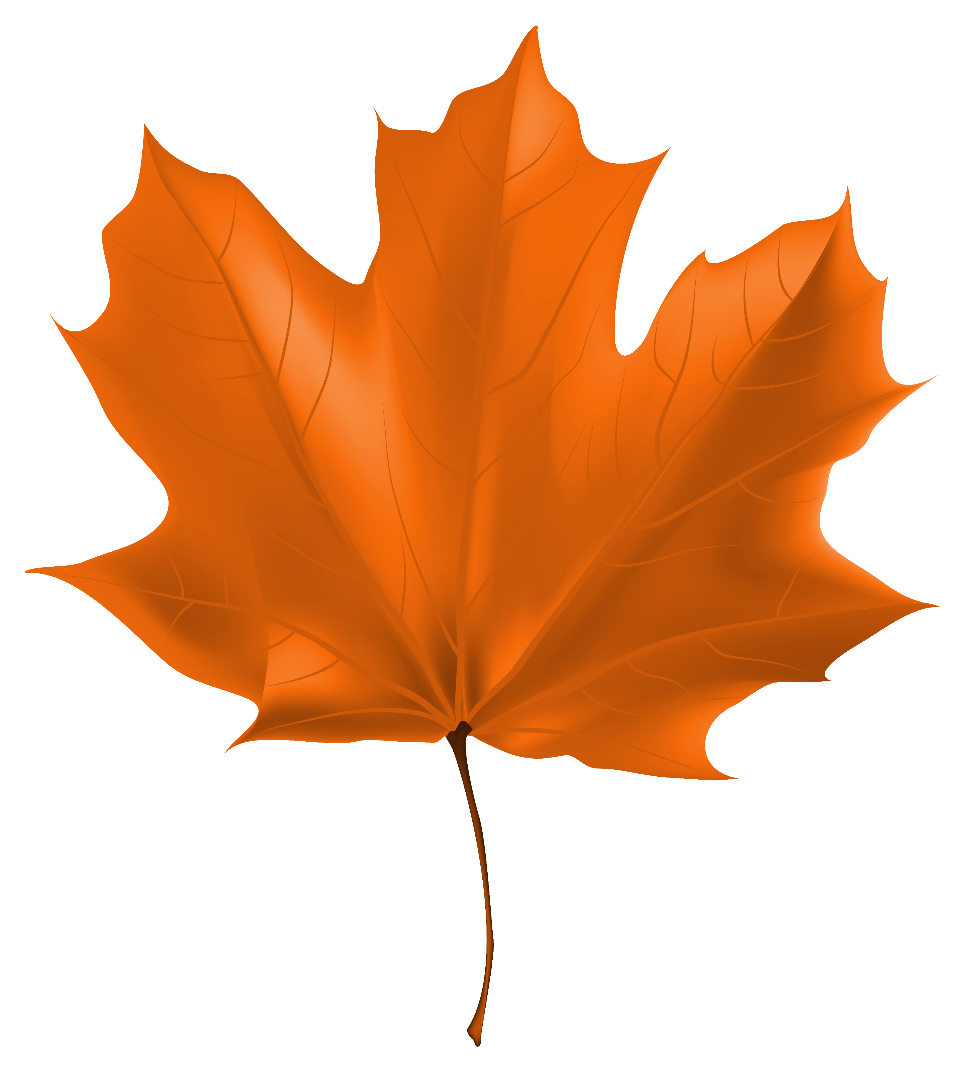 Beautiful autumn png image. Clipart leaves red fall leaf