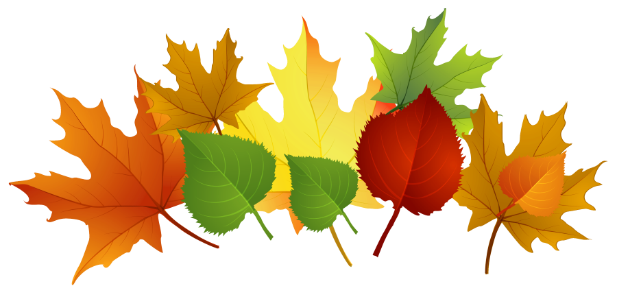 leaves clipart thanksgiving