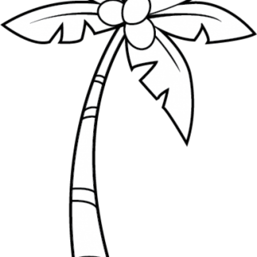 white clipart palm tree
