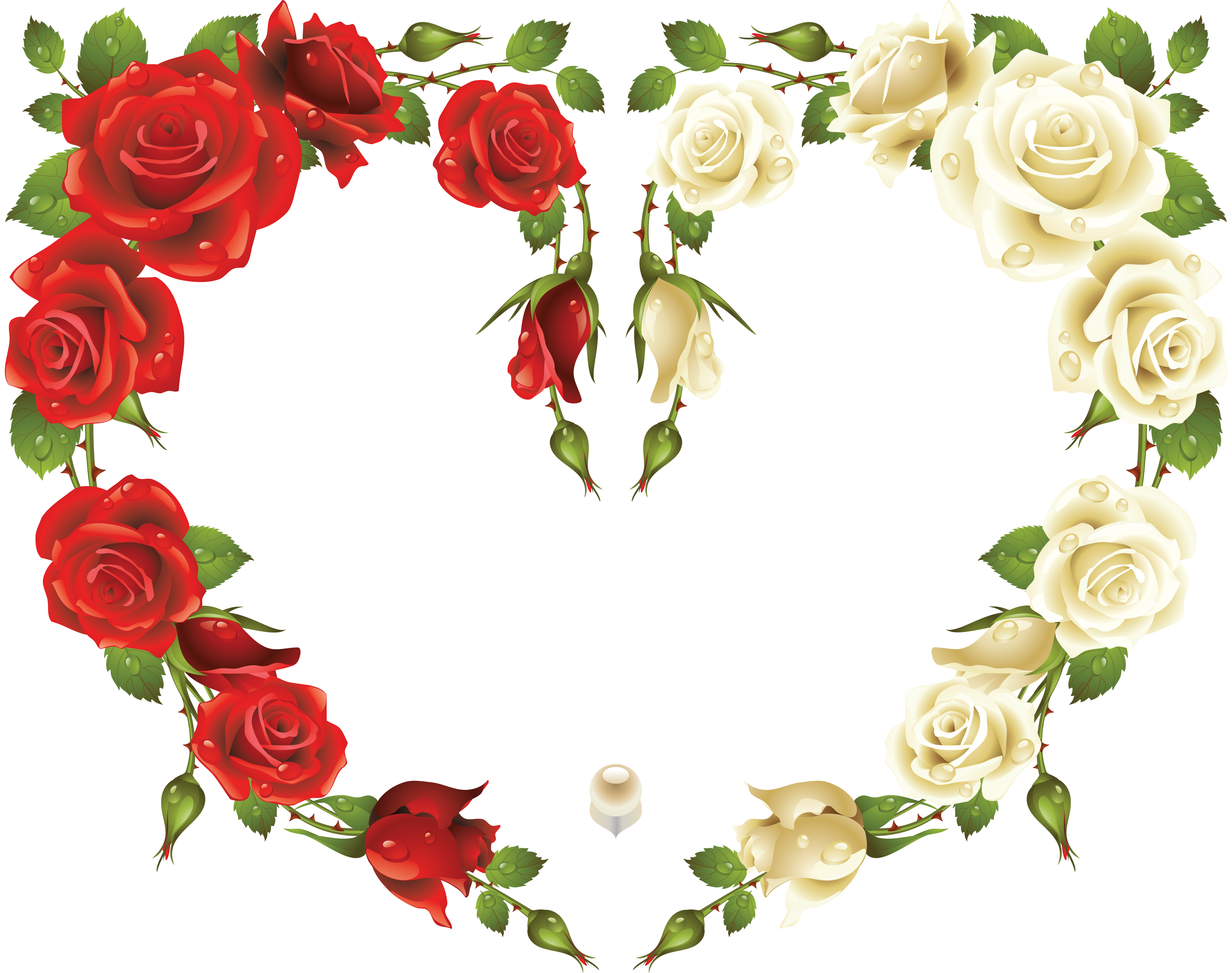Large transparent heart frame. Clipart roses shape