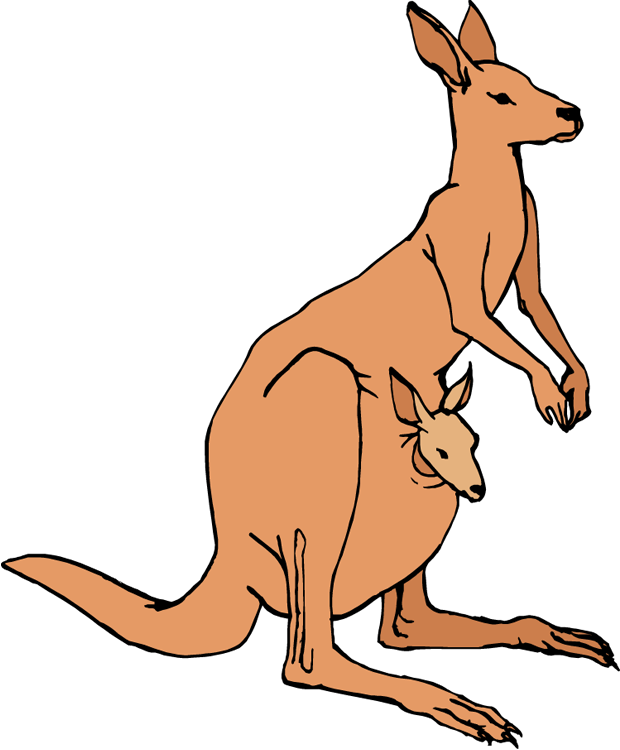 clipart family kangaroo