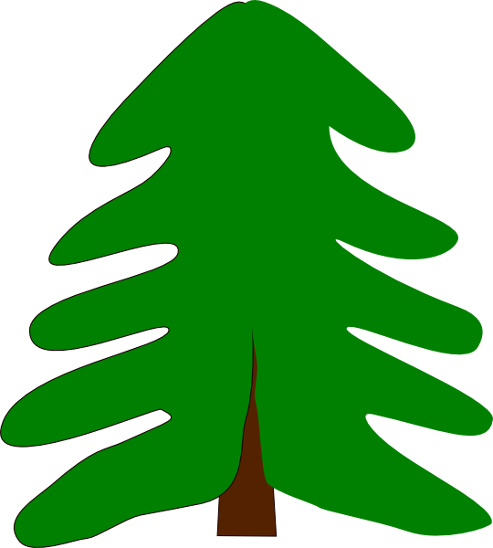 forest clipart evergreen tree