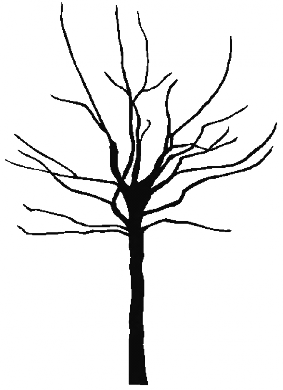 color clipart tree