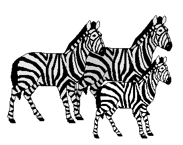 Clip art of three. Clipart zebra family