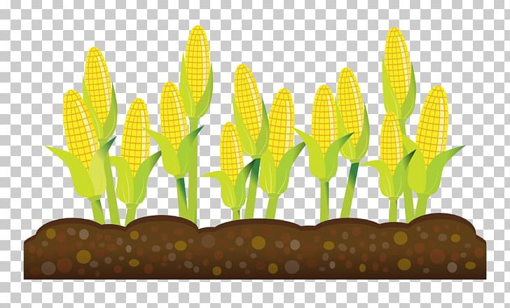 Intensive crop agriculture . Farming clipart corn farmer