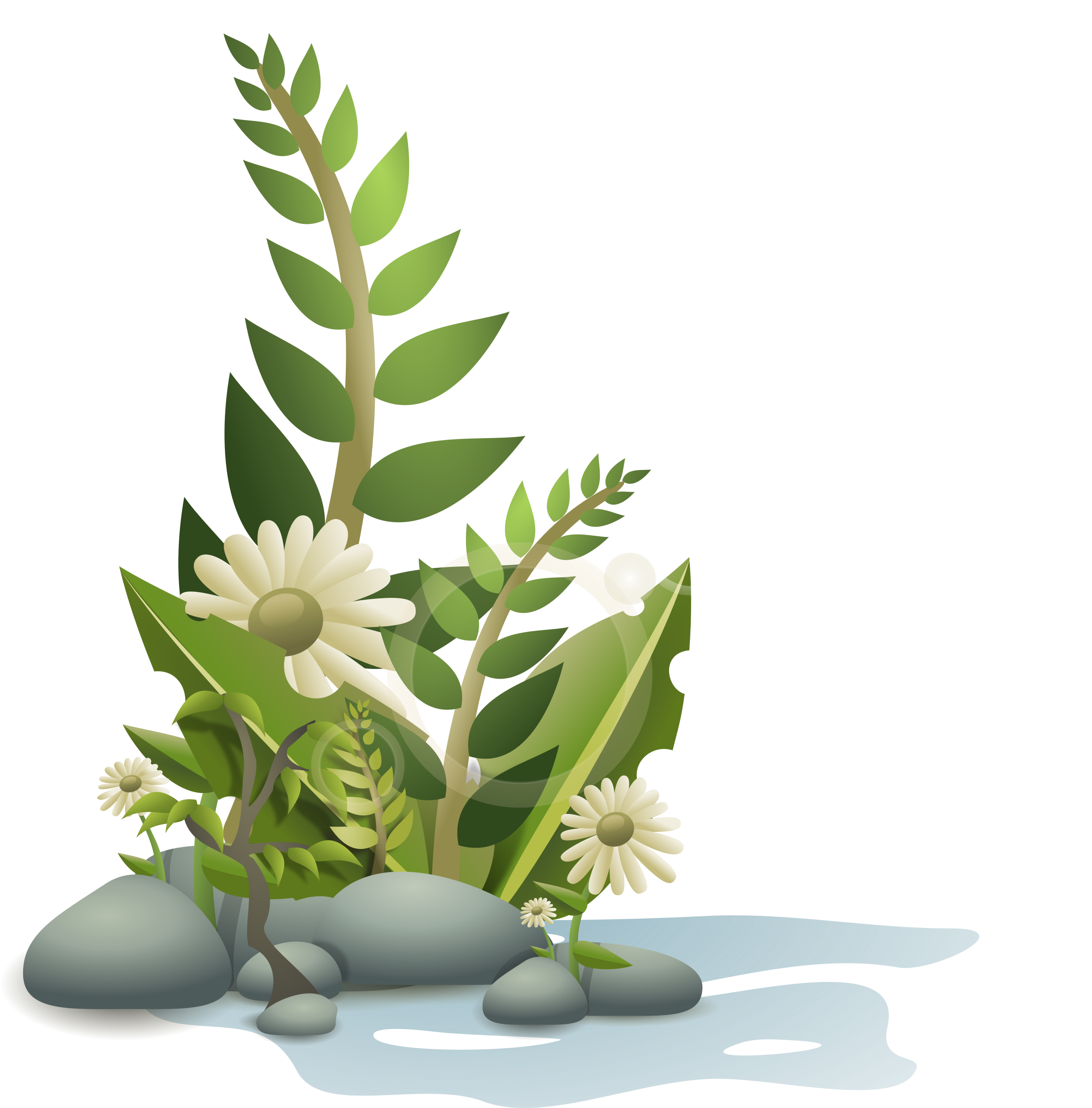 Flowers clipart root. Plants pebbles and by