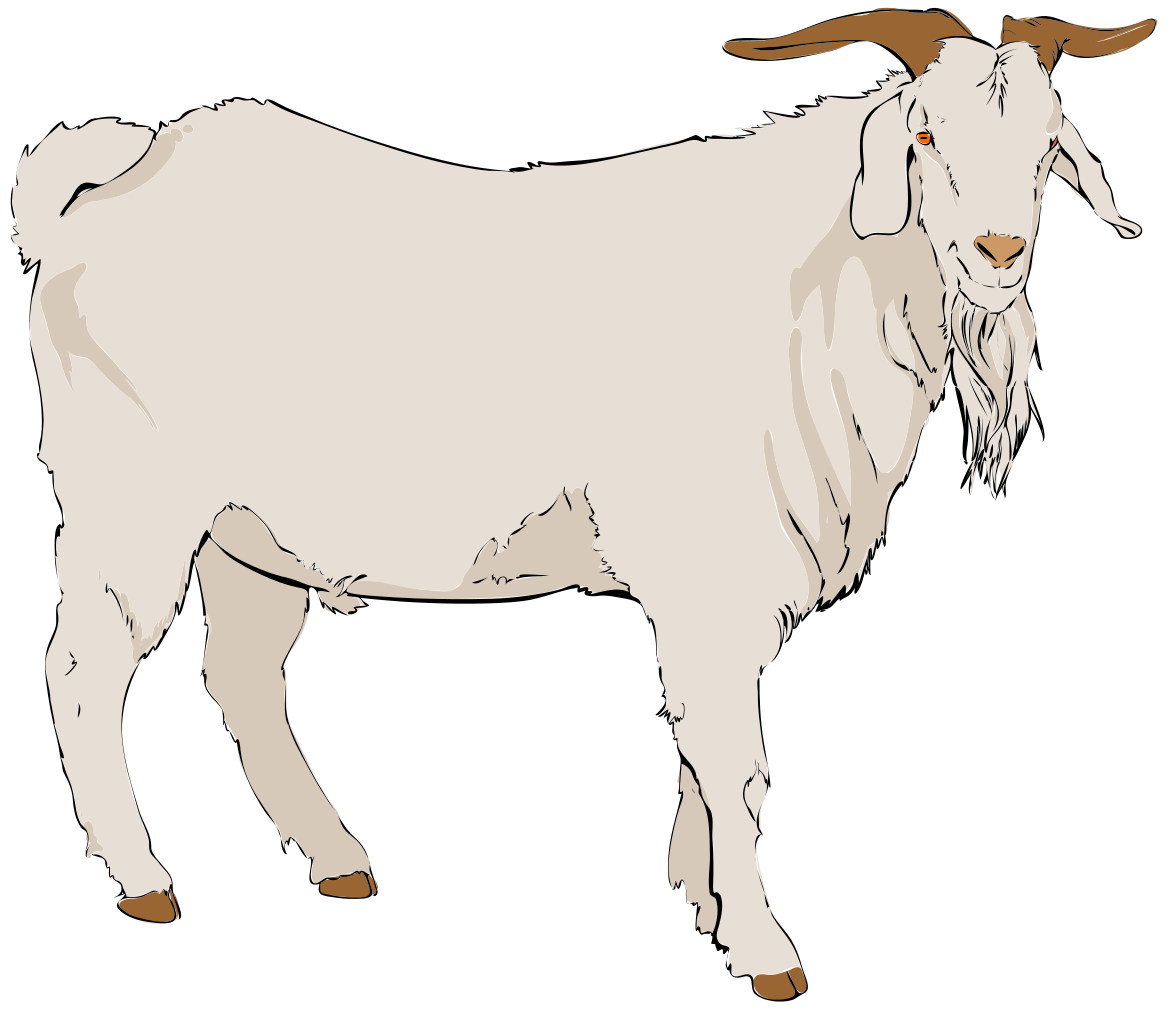  collection of a. Goat clipart toon