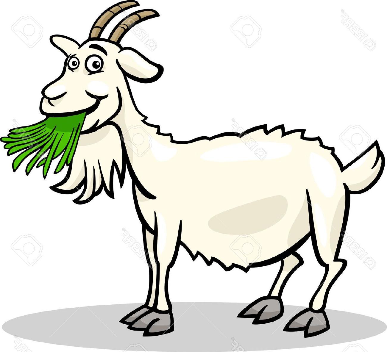 Farm explore pictures clip. Goat clipart illustration