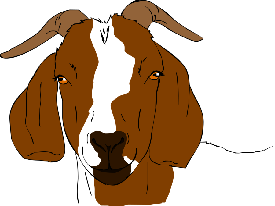 Clipart farm goat. Boer clip art drawings