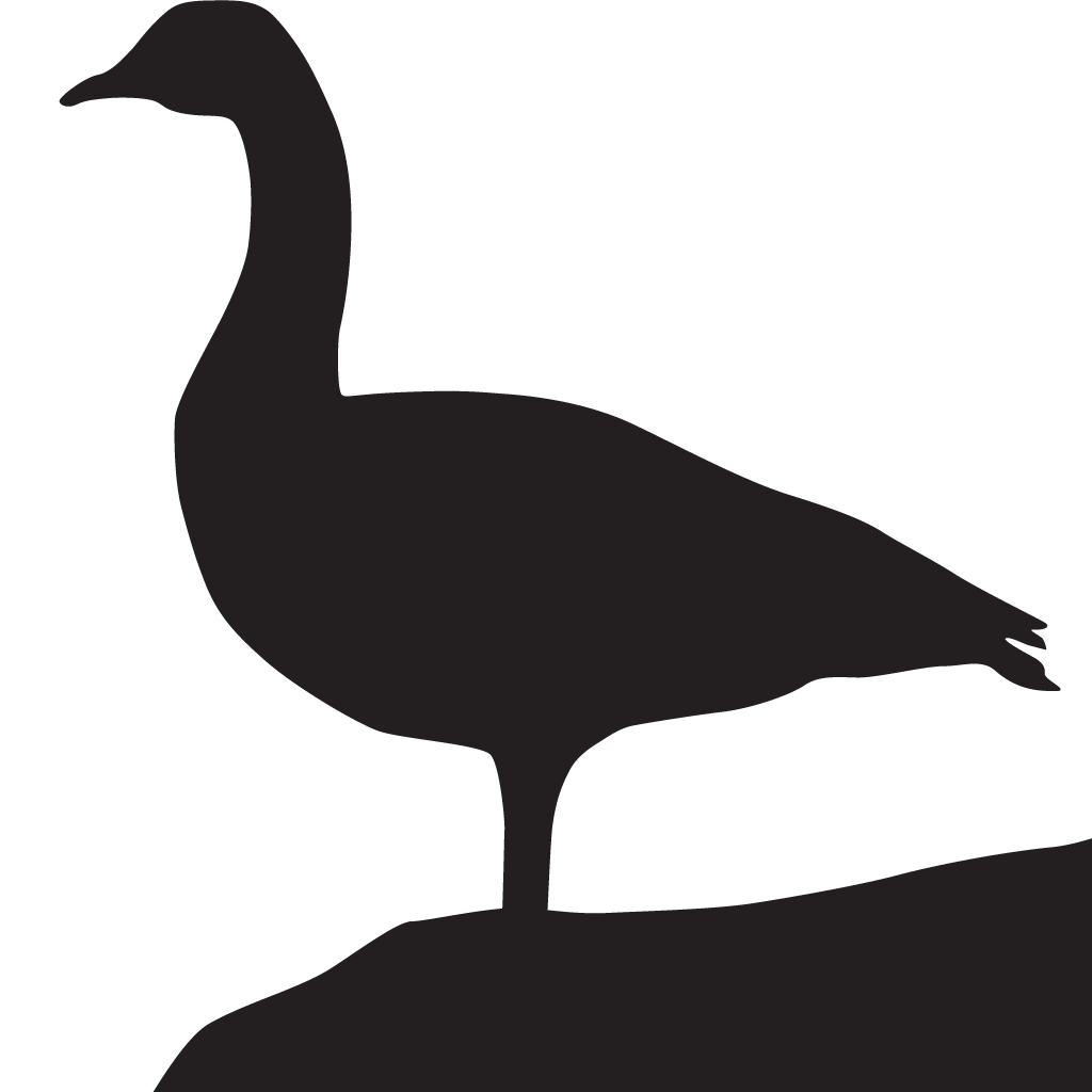 Canada goose silhouette at. Ducks clipart wood duck