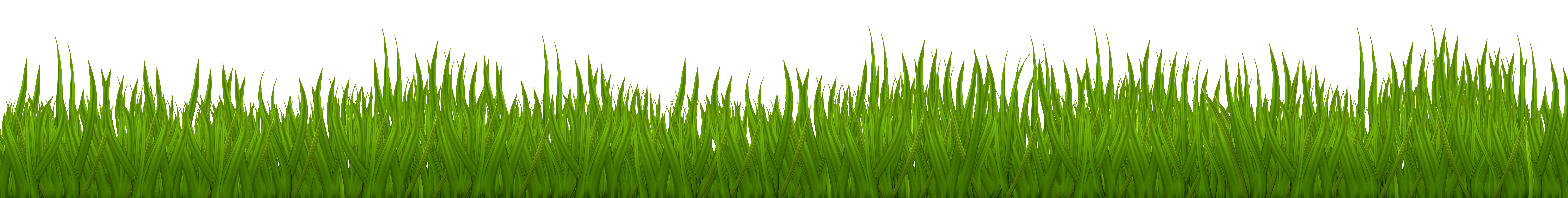 clipart grass green grass