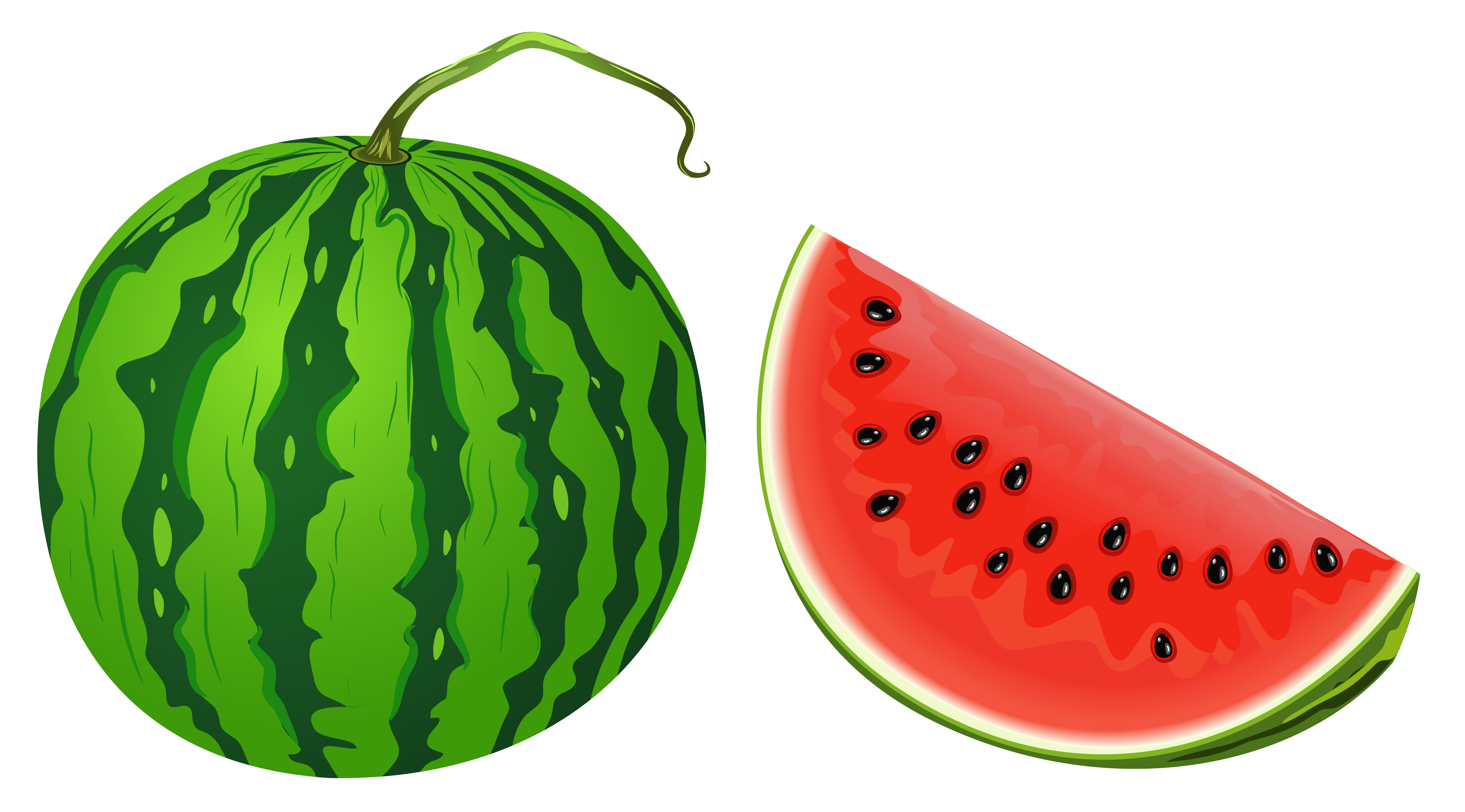Watermelon clipart coloring. Png vector image frutas