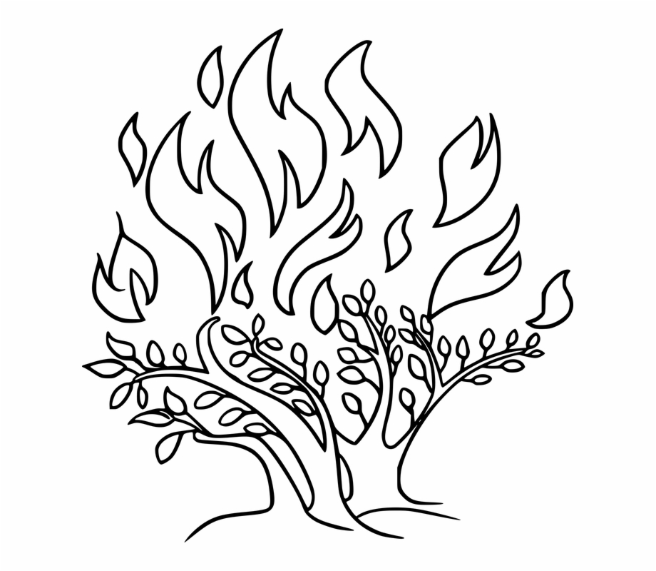 Fire clipart bushfire. Bible burn burning bush