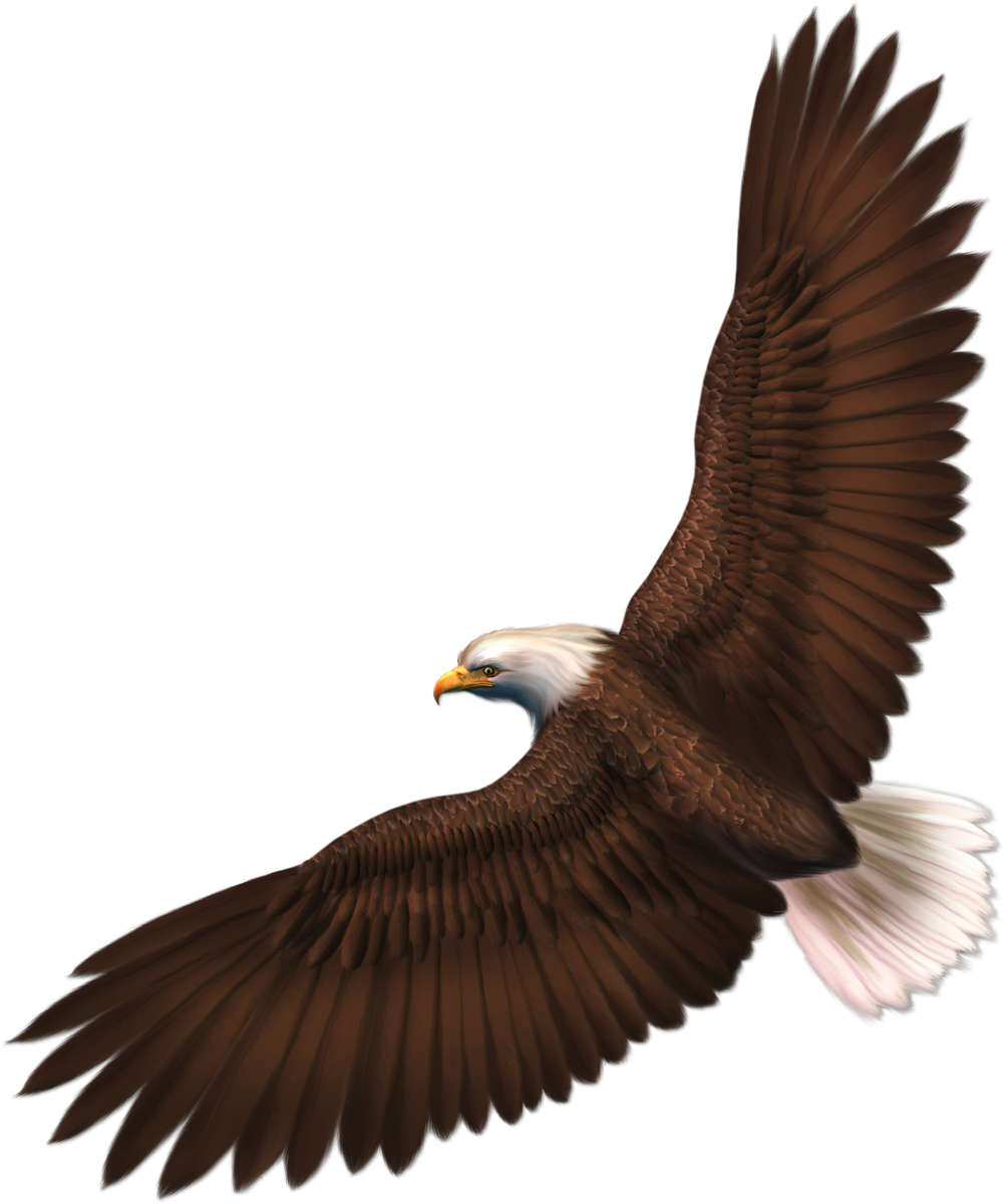 Fire clipart eagle. Eagles one isolated stock
