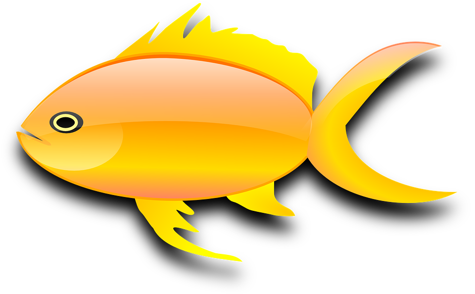 goldfish clipart sea creature