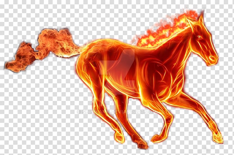 horse clipart fire