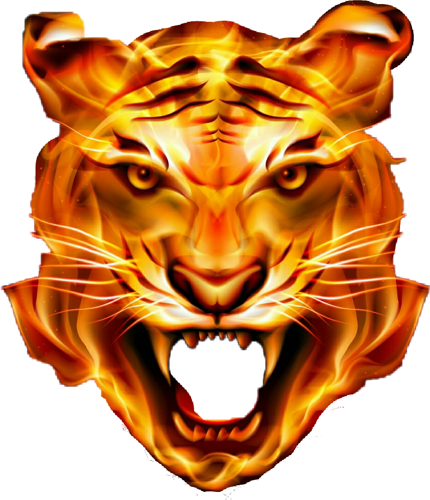 clipart fire lion