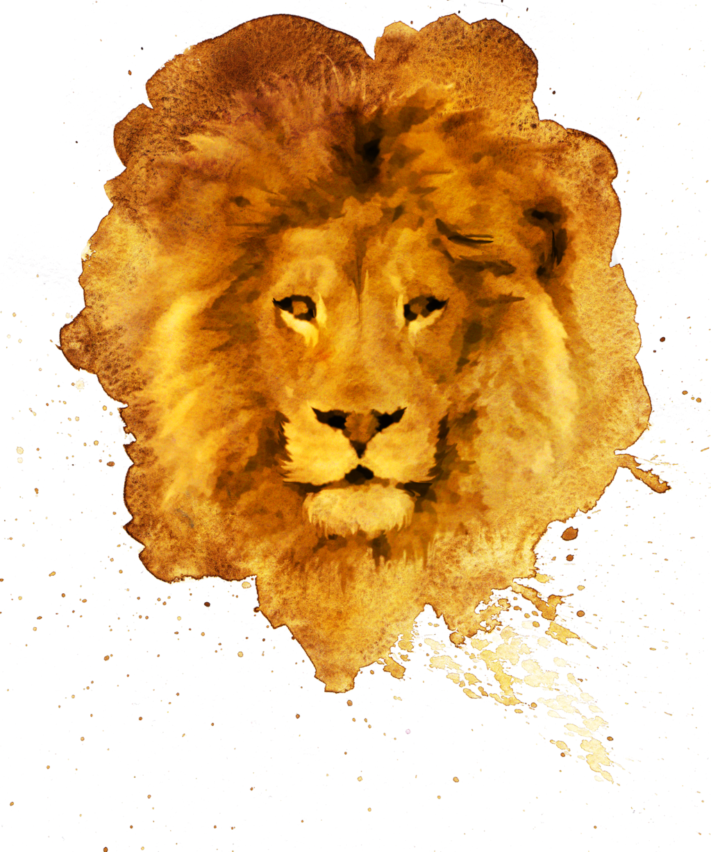 lions clipart collage