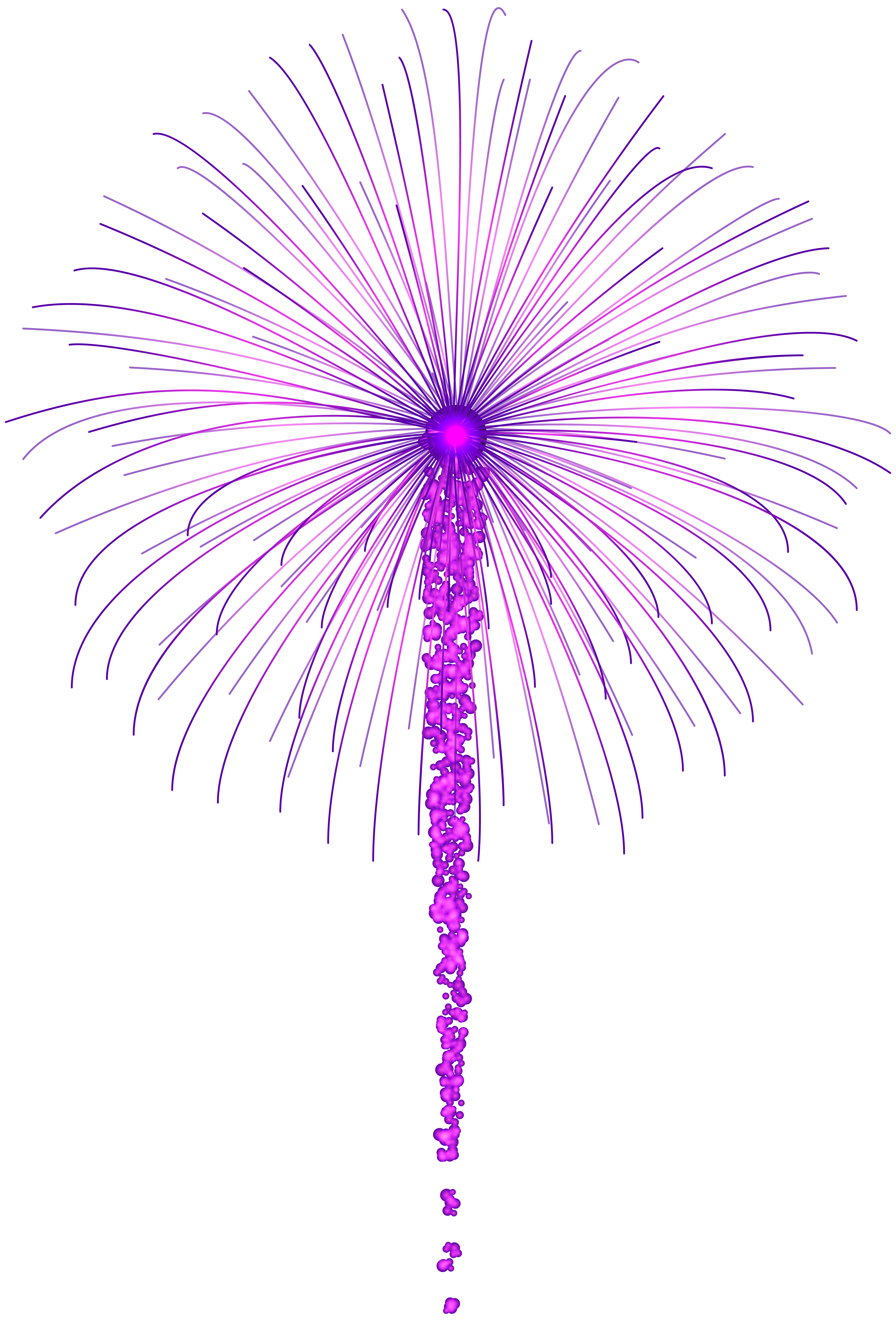 Purple fireworks for dark. Pink clipart firework