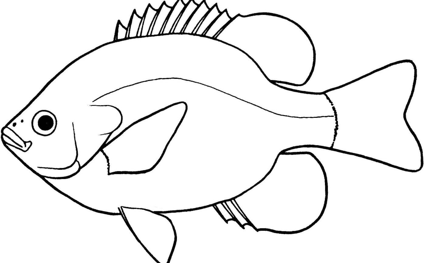 clipart fish black and white
