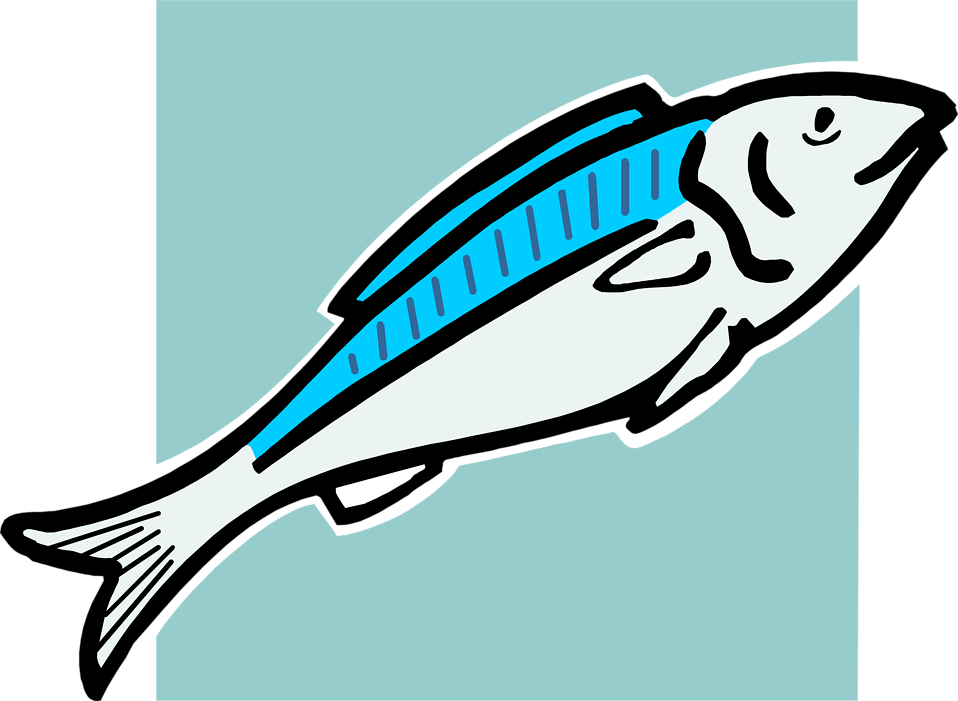 salmon clipart fish meal