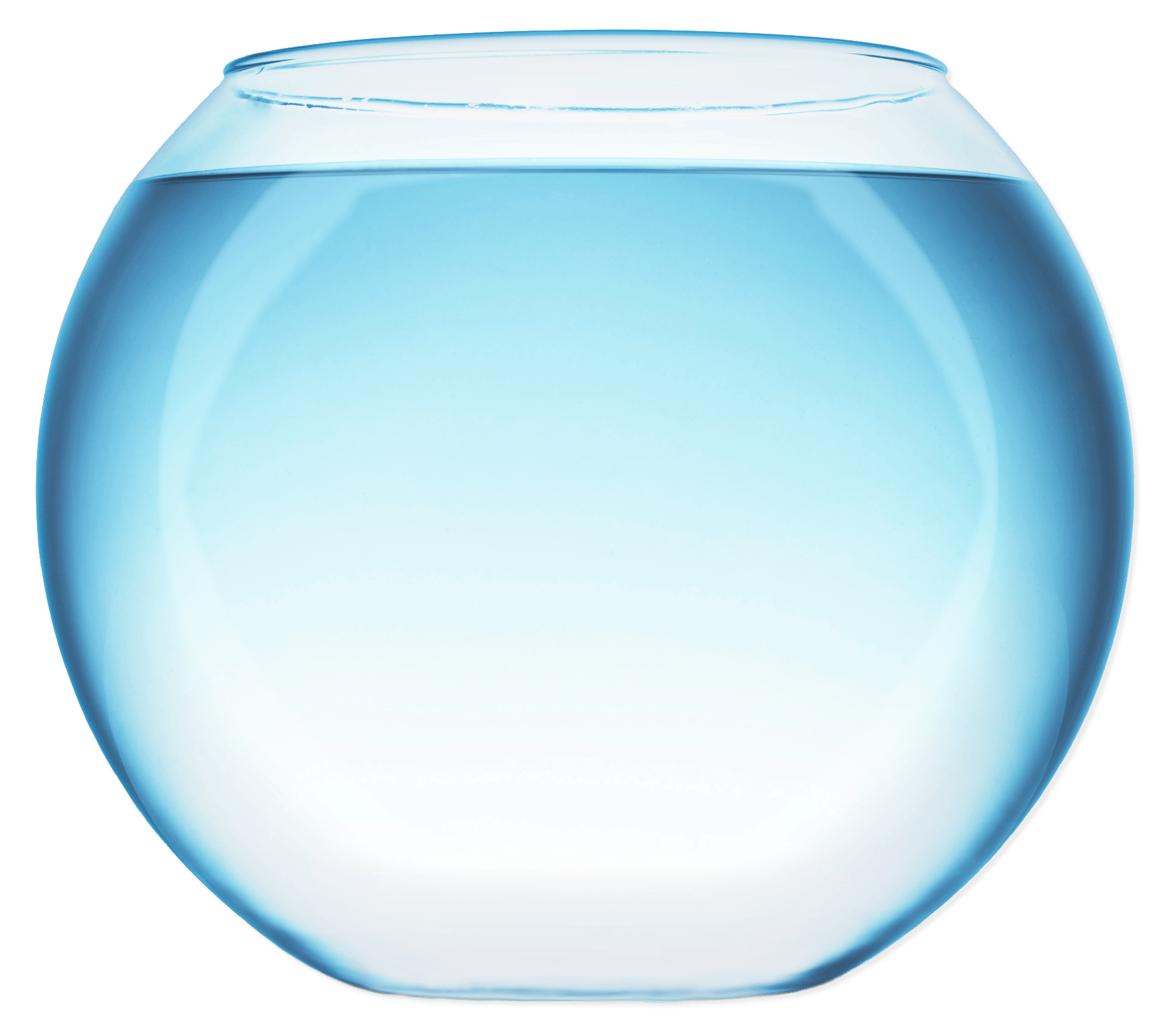 Fish Clipart Bowl Fish Bowl Transparent FREE For Download On
