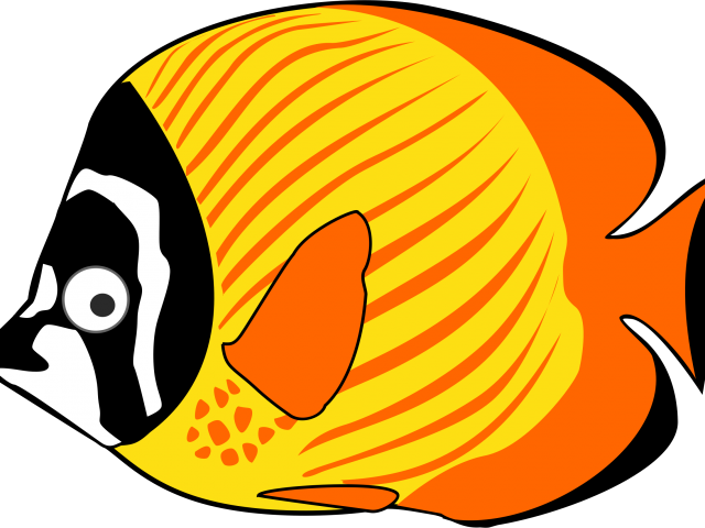 clipart fish breathing