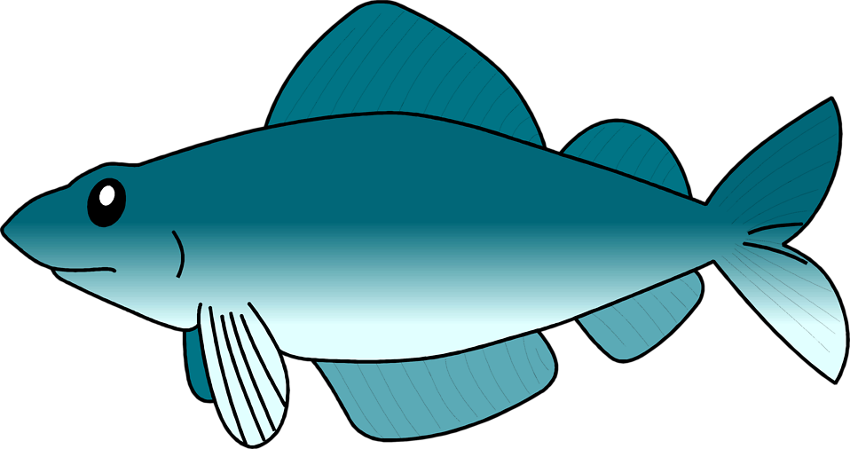 Fish clear background