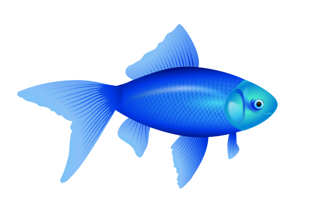  images free graphics. Clipart fish colorful