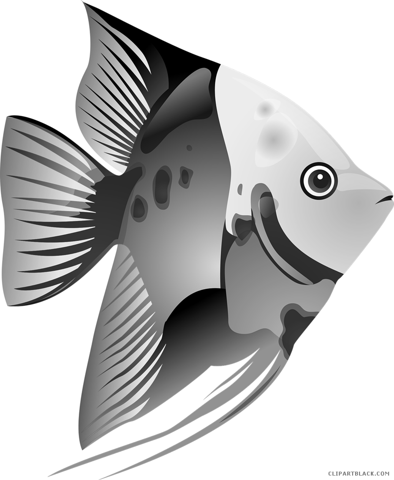 Page of clipartblack com. Red clipart betta fish
