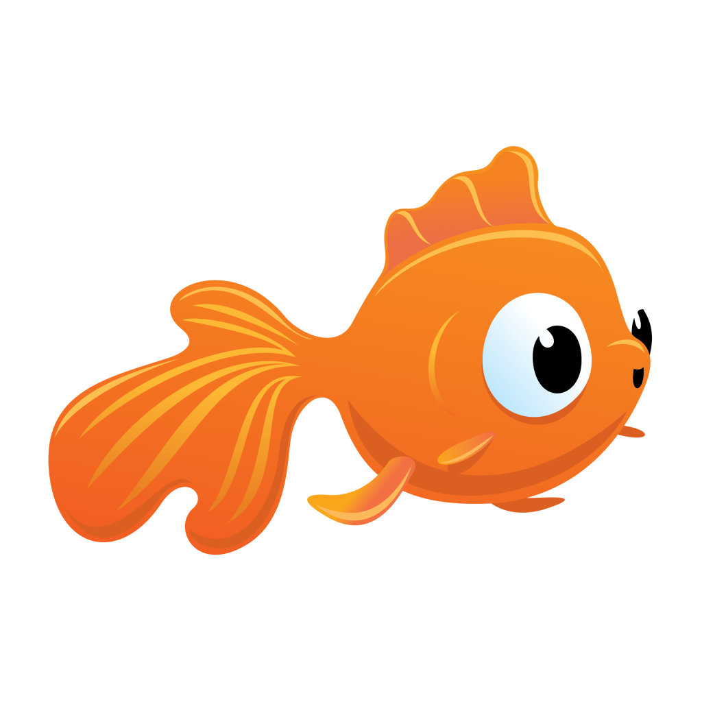 Goldfish basic fish