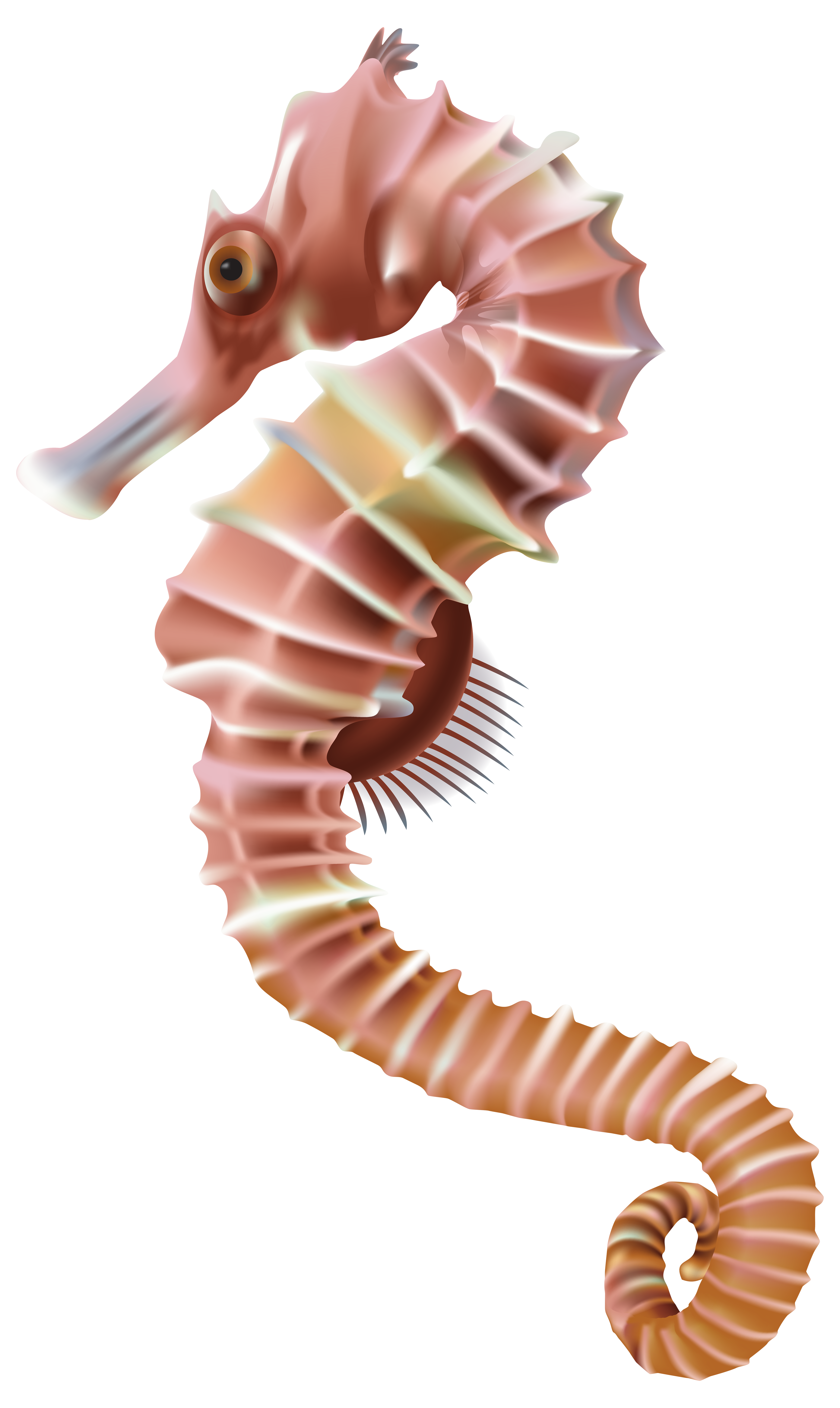 Worm clipart art. Seahorse png transparent clip