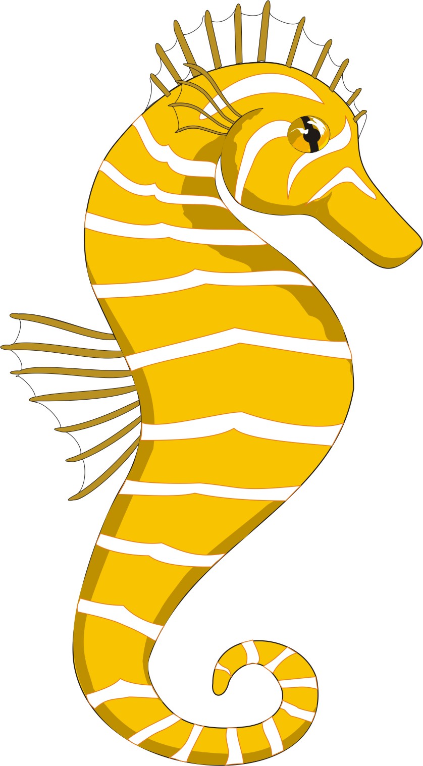fish clipart horse