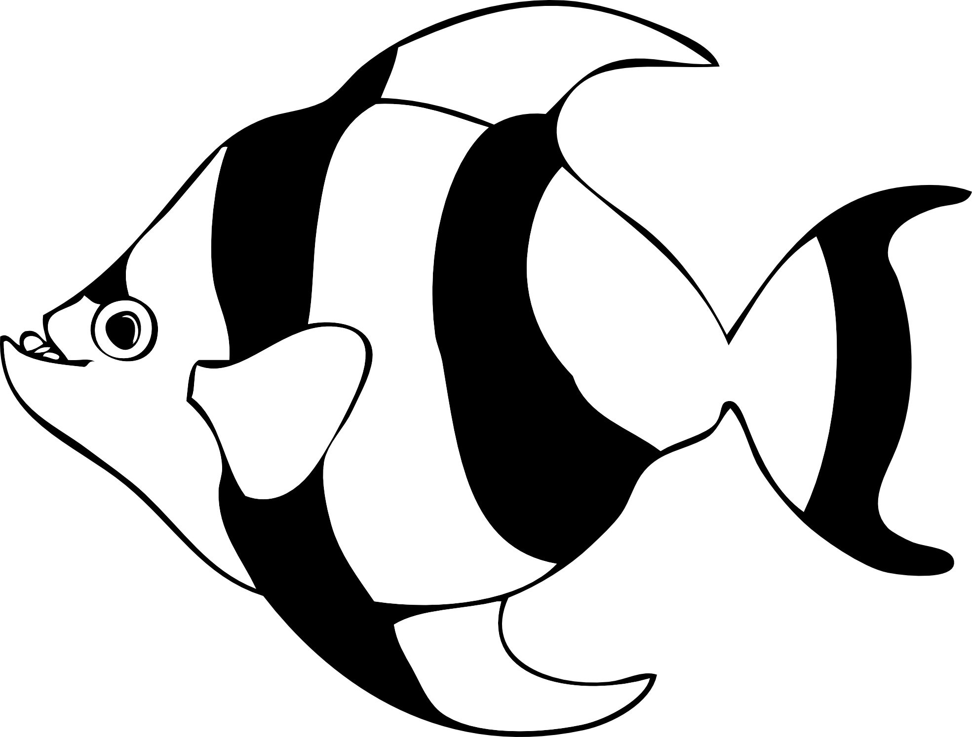 Xray clipart fish.  collection of ocean