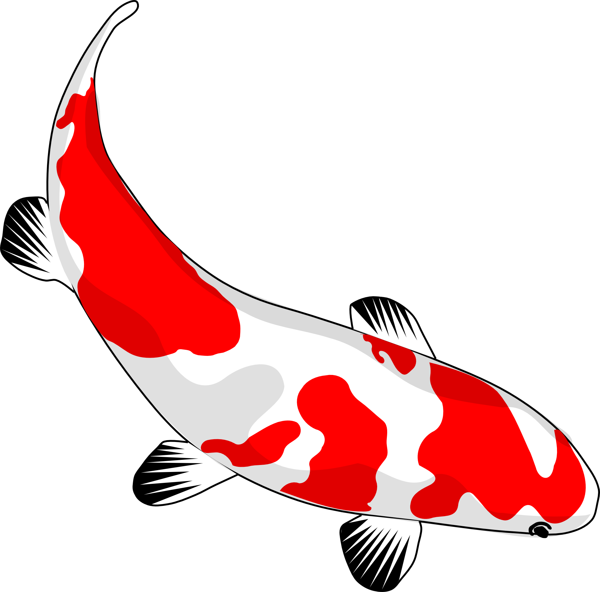 Koi fish clip art. Goldfish clipart dorothy