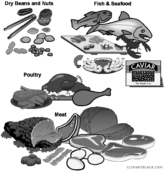 seafood clipart meat bean