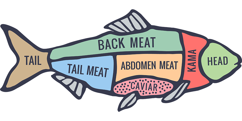 tuna clipart fish meat