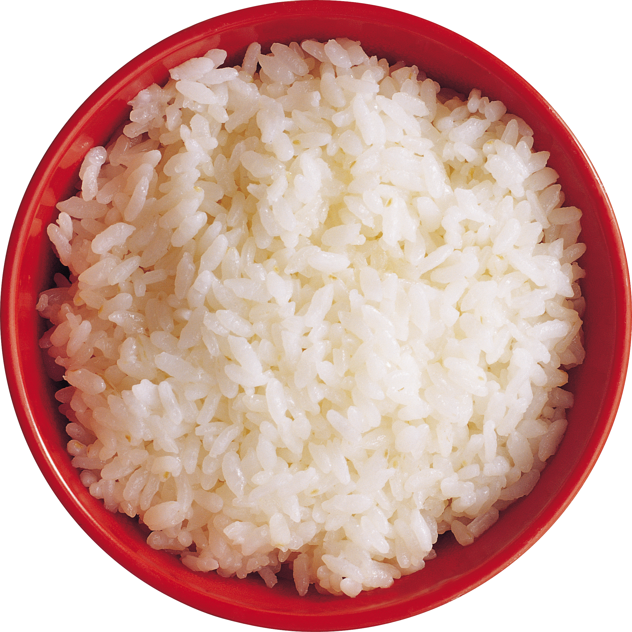 rice clipart steamed rice