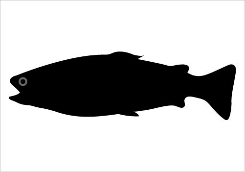 fish clipart shadow