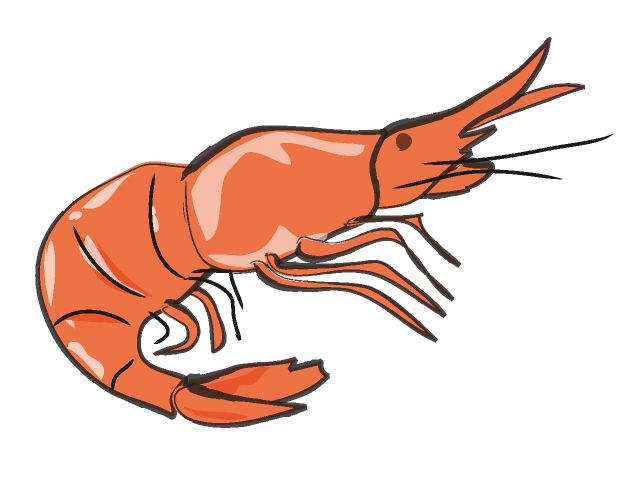 Cricut recipes coconut . Crabs clipart shrimp