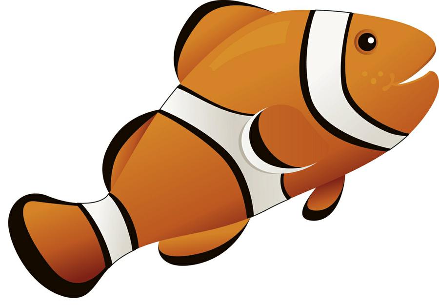 Clown clownfish magnetic whiteboard. Fish clipart side view