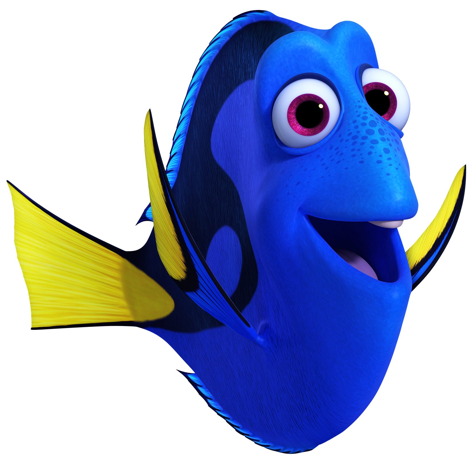Finding dory transparent png. Pearl clipart fish house
