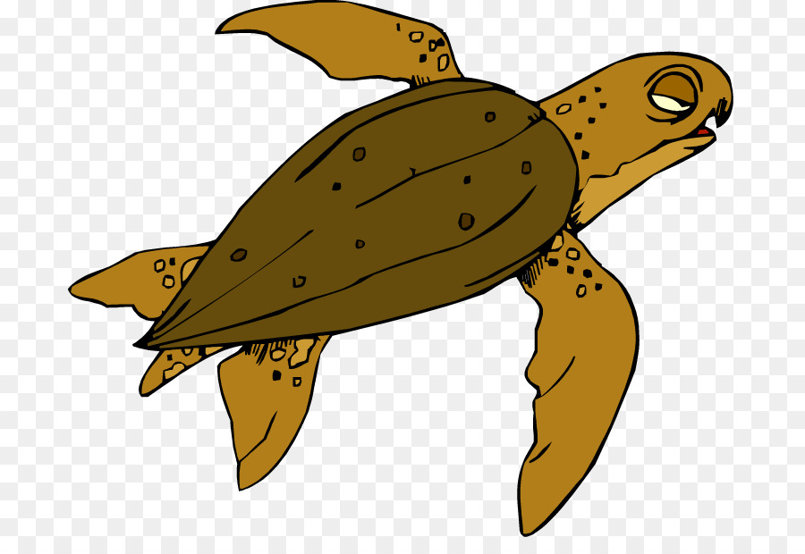 clipart turtle fish